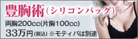 豊胸術(シリコンバッグ)両胸200cc(片胸100cc)330,000円。