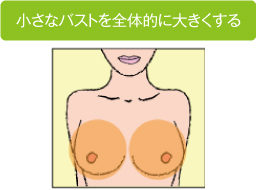 小さなバストを全体的に大きくする