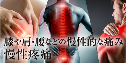 肌の再生